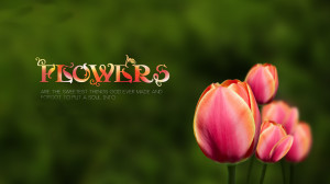 Beautiful flower with quotes free windows