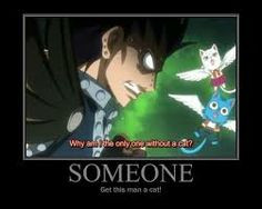 ... part and felt bad for gajeel for not having a talking flying cat. More