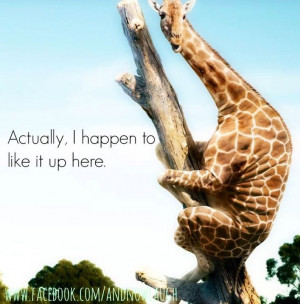 Funny Giraffe via www.Facebook.com/AndNowLaugh