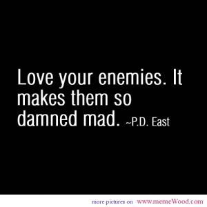 Best celebrity quotes love your enemies