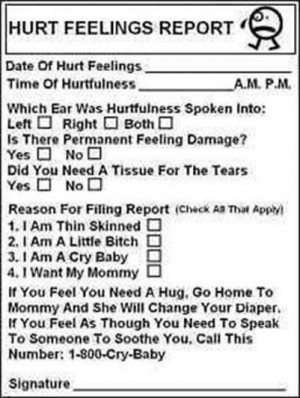 HURT FEELINGS REPORT