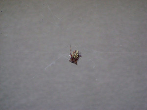 What do you all think of this one. Do I need to worry about this one?