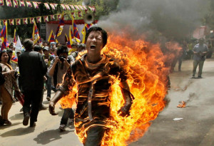 Why Tibetans are burning themselves to death