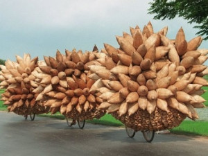 Vivid Northern Vietnam - 7 Days/ 6 Nights - Classic