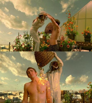 pushing daisies ned chuck