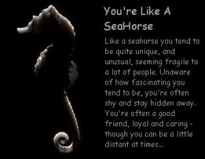 Seahorses