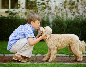 Photos Boy And His Dog Are