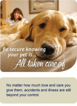 petsecure-pet-insurance-quotes