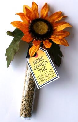 ... Sunflowers Seeds Cut, Teacher Appreciation, Idea Sunflowers Se, Cute