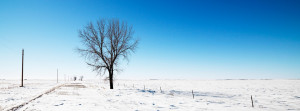 Cute Snow Quotes Alone in snow facebook cover