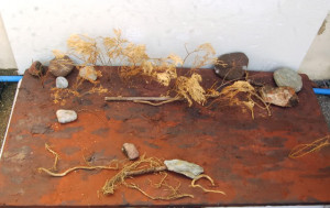 Even if the structure was crude, it accomplished cool results with my ...