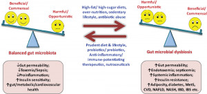 Comment: Inflammatory Bowel Disease Monitor – Volume 14 Issue 2 ...