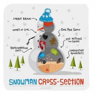 Snowman Cross-Section