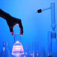 objectivity look like in a person? (0 responses) What does objectivity ...