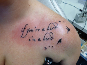 If you're a bird I'm a bird