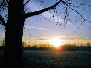 Fifteen Small Steps to Happiness by Emma Elsworthy