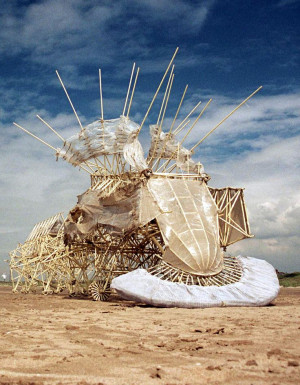 Theo Jansen | Strandbeest | www.strandbeest.com