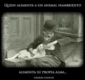 quien alimenta a un animal hambriento alimenta a su propia alma