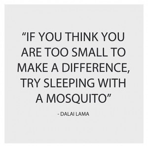 Via Halla Bint Khalid