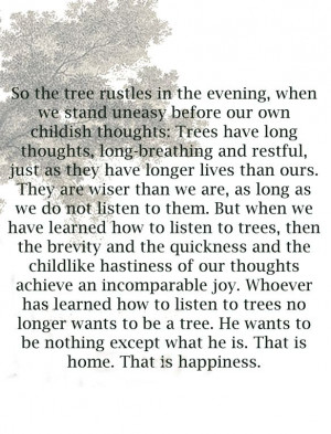 Tree with Hesse Quote by Anne Corr
