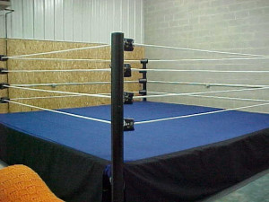 View Product Details: WRESTLING ring Canvas Mat Cover - 18 ounce Pro