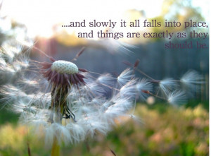 things fall into place
