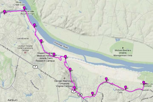 Happy+independence+day+wishes+quotes