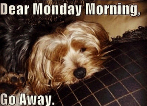 Dear Monday Morning funny quotes cute quote morning puppy monday days ...