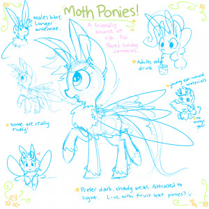 Moth Pony Reference/Study by Hollulu