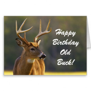 Hunting Funny Buck Animal Camo Happy Birthday 3 Greeting Card