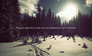Inspiring Quotes In Landscape Images