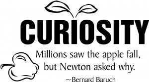 Curiosity Quotes