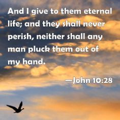 Bible Verses and Words of Faith!