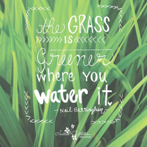 The grass isn't always greener on the other side!