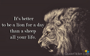 Lion Quotes Inspirational Lion for a day.