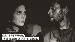 queue jack hodgins Temperance Brennan bonestv show: bones