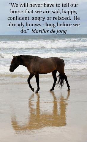 Because your horse always knows just how you feel, and can understand ...