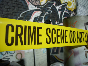 Criminal Justice Degree...