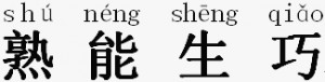 Practice Makes Perfect chinese letters