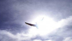 Ephesians 1:13 … In whom ye also trusted, after that ye heard the ...