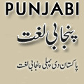 Punjabi Translation English