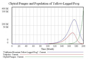 Chytrid Fungus and Population of Mountain Yellow-Legged Frogs