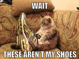 Funny Pictures Quotes Pics Jokes Memes Images Photos Cats Gift Animals