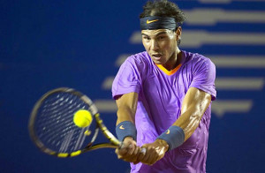 Celebrity Voice Universe