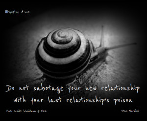 ... New Relationship With Your Last Relationship Poison - Adversity Quote