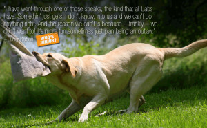 view original image )