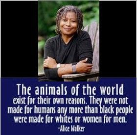 Alice Walker on animals and humanity.