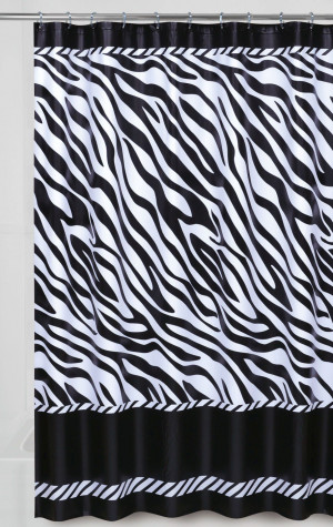 black white zebra color and