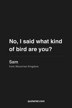 ... Sam,from #MoonriseKingdom - #WesAnderson #Movies #Quotes #moviequotes