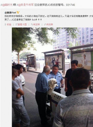 Is This the End of All of the Large Sized Dog Residents in Beijing ...